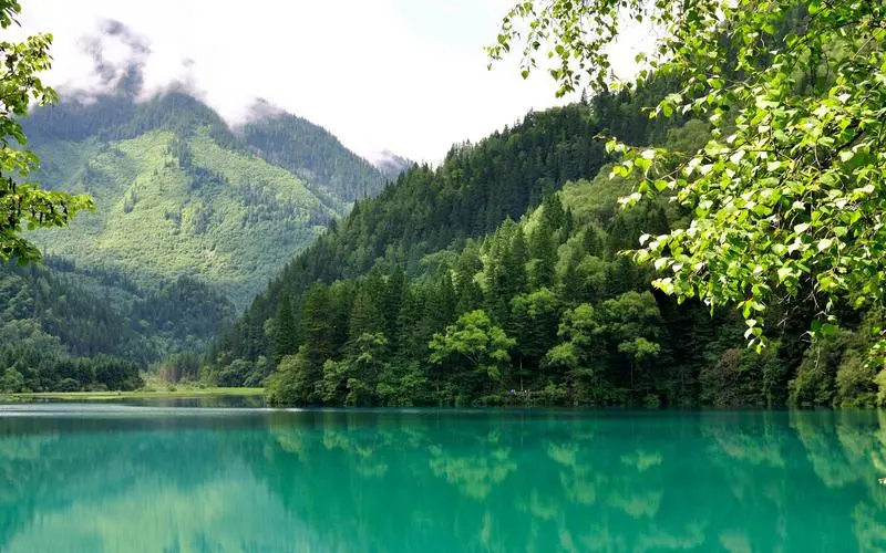 高性能高精度